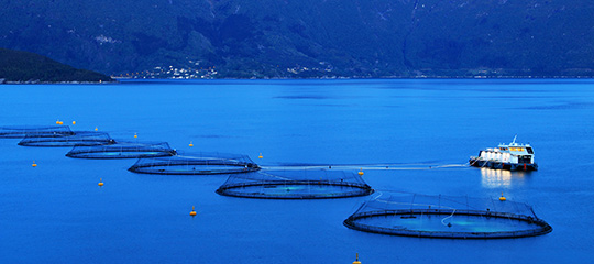 BioSonics Echosounder for Salmon Net Pen Aquaculture