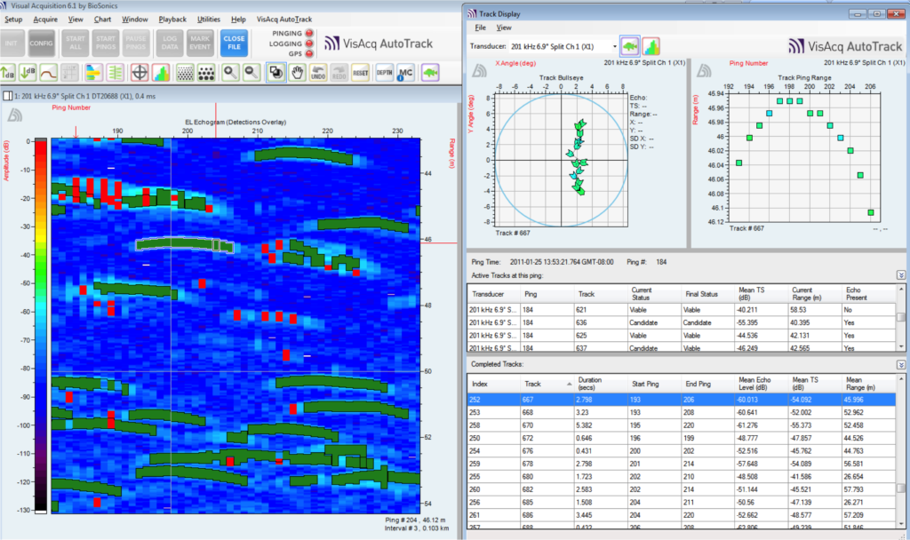 BioSonics VisAcq AutoTrack Fish Track Echogram