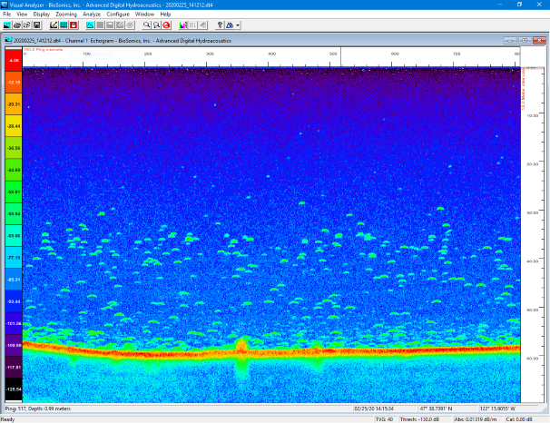 Visual Analyzer Echo Integration and Fish Data Analysis