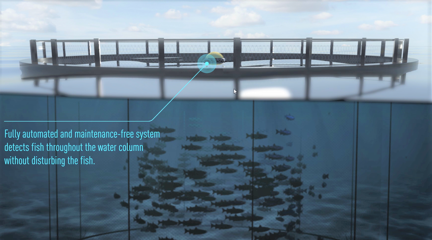 Aquaculture Biomass Monitor Fully Automated