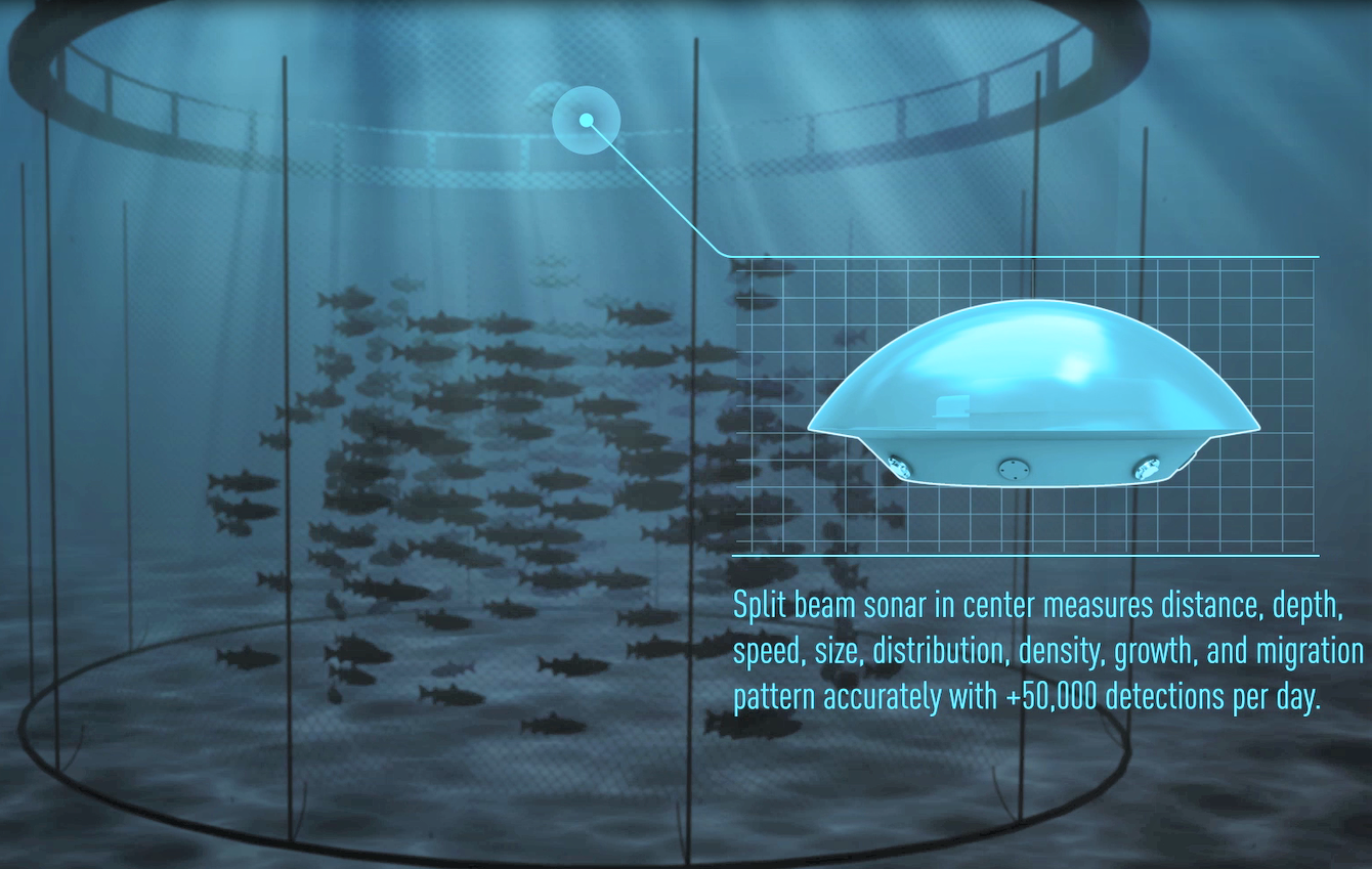 Aquaculture Biomass Monitor Split Beam Sonar