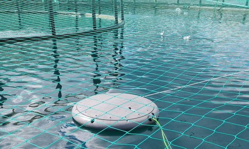 Aquaculure Biomass Monitor