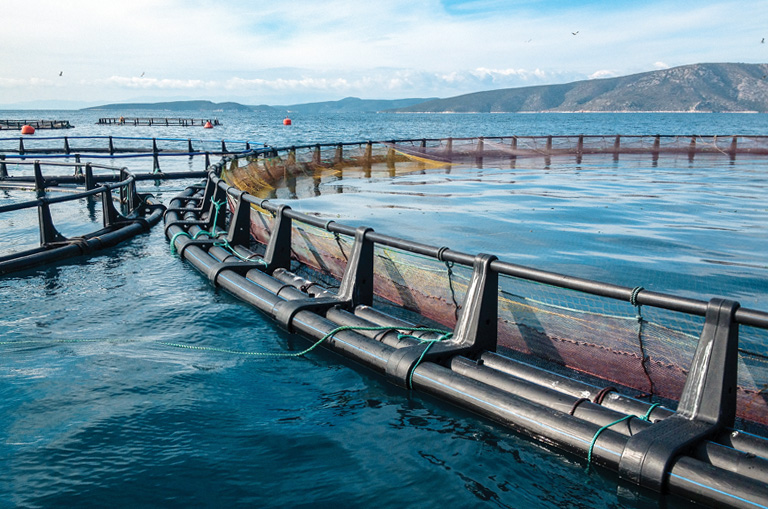 biosonics-website-768x509-2-products-aquaculture-biomass-monitor
